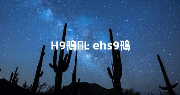 H9鳵ӼĿ ehs9鳵